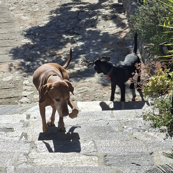 Up and down the stairs