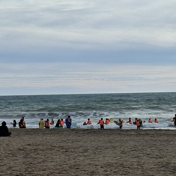 Children on surfboards