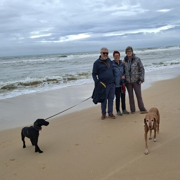 D'Arcy, Zizi, Ingrid, Zserbo und Panka