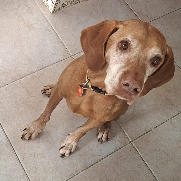 Listen to D’Arcy, and I don’t want to hear any complaints about you!