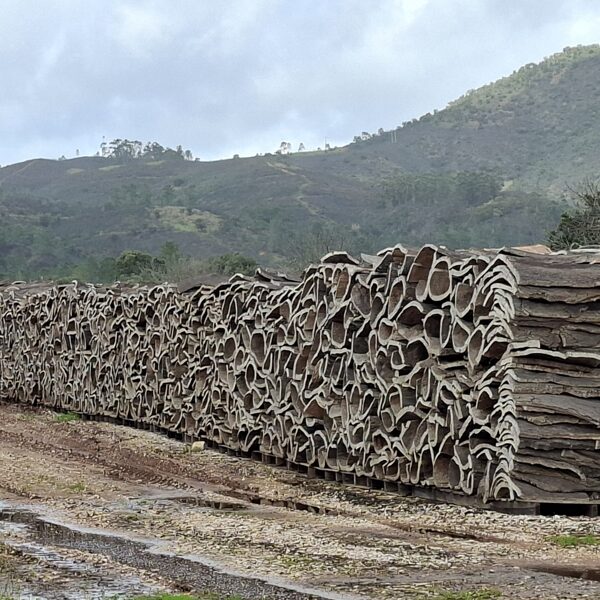 Cork barks waiting to be worked