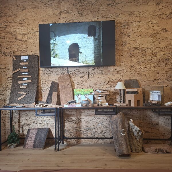 They screen the film for us. The wall behind the TV is made of cork, it insulates very well