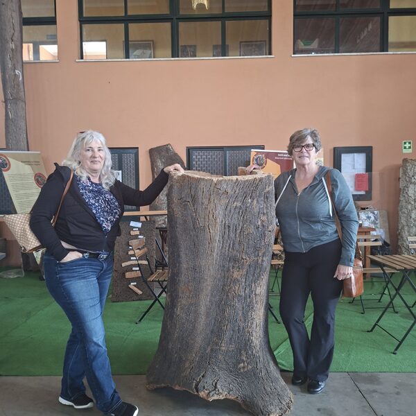 Brenda, cork bark and Ingrid