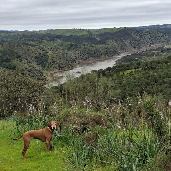 Panka és a Guadiana-folyó