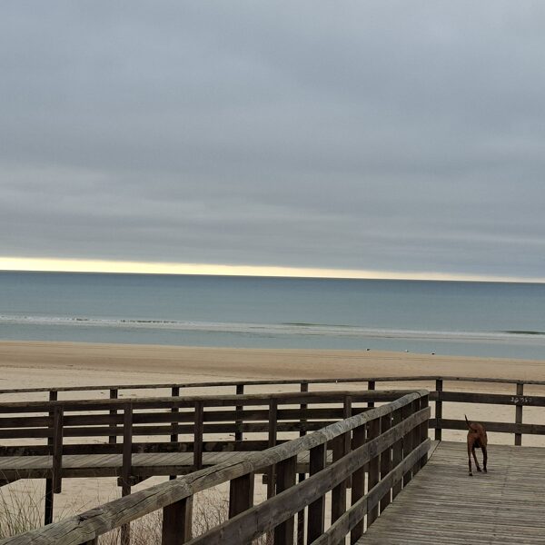 A megunhatatlan óceánpart