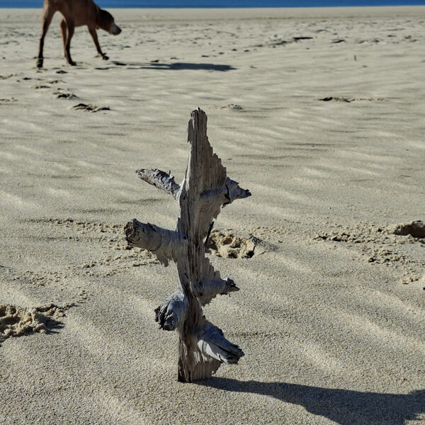 Legalább annyi helyre szeretnék még ellátogatni, amennyi bütyök van rajta