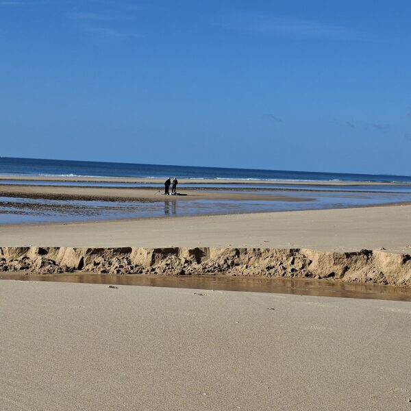 A szobrász neve: Atlanti-óceán