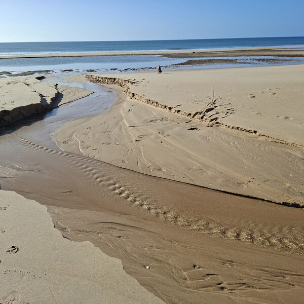 "S bár fölül a gálya, s alul a víznek árja, azért a víz az úr"