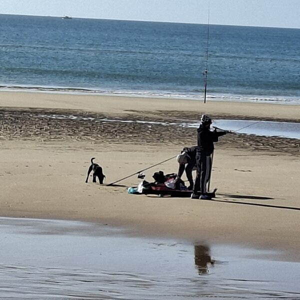 Zserbót minden és mindenki érdekli