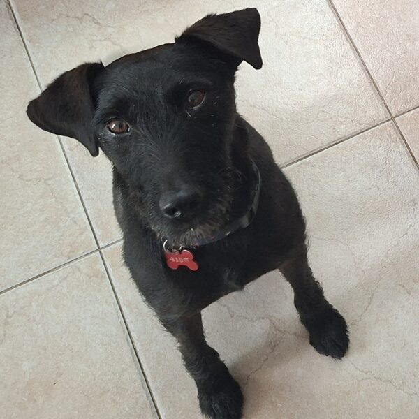 Indulás előtti instrukciók: