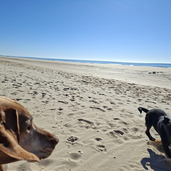 Búcsú Algarve-tól, utolsó sétánk 