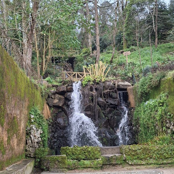 A reggeli sétáinkon emellett a kis vízesés mellet szoktunk elsétálni