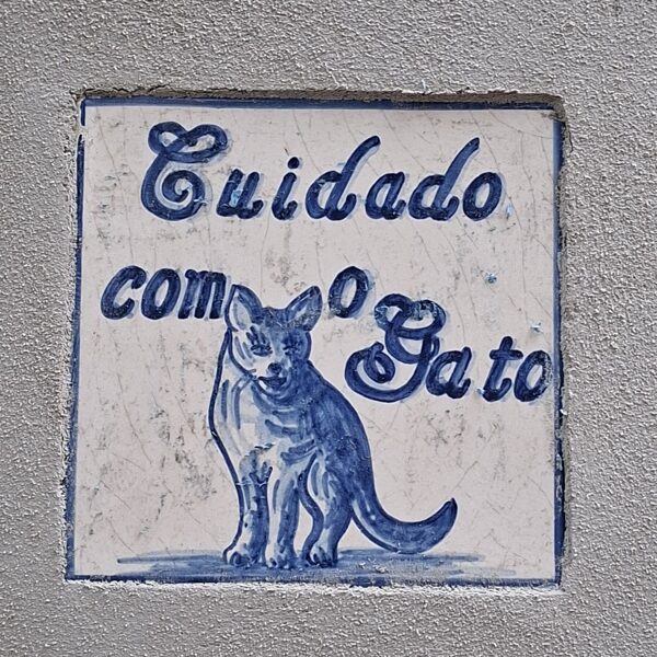 "Itt macska őrzi a házat"