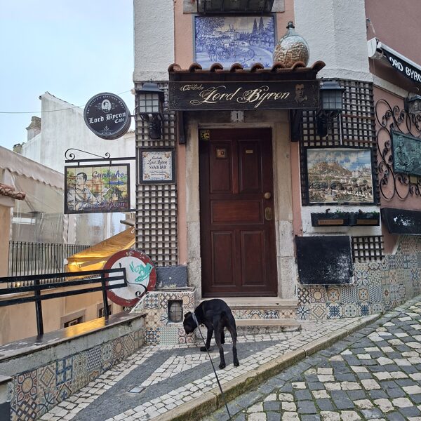 Zserbo nagyon szimatol