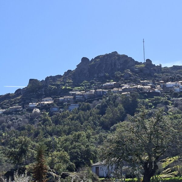 Közeledünk Monsantóhoz