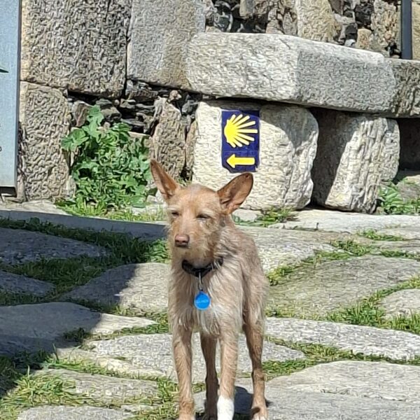 Az egyik biztonsági őr