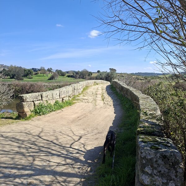 A római korban megkezdett hd