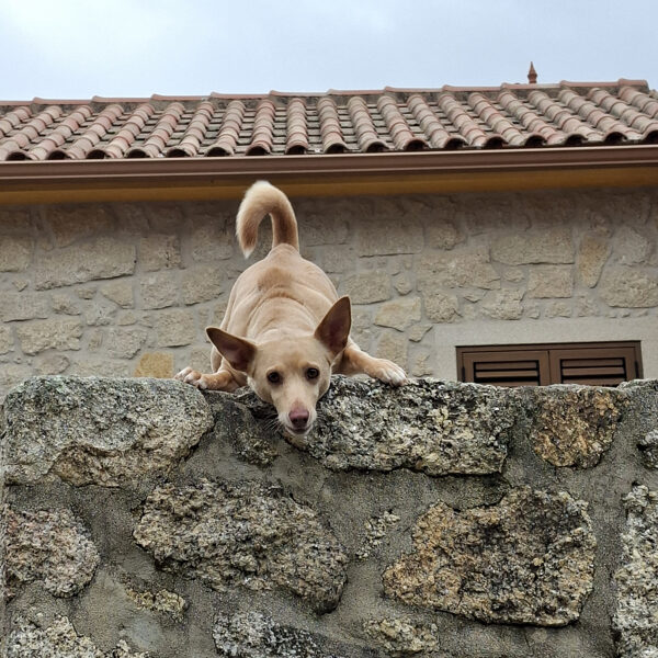 A little curious one