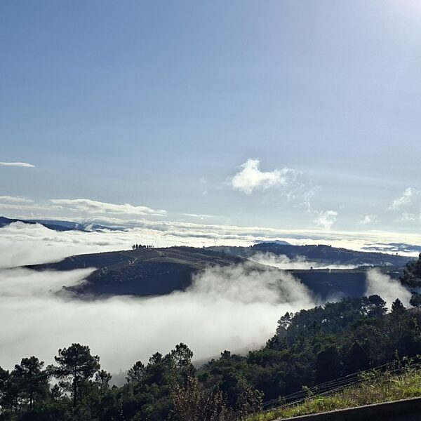 Douro Valley in fog