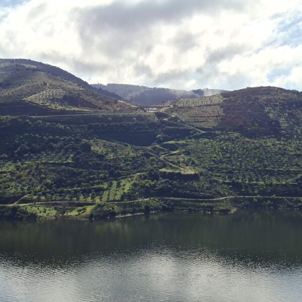 Inner Douro
