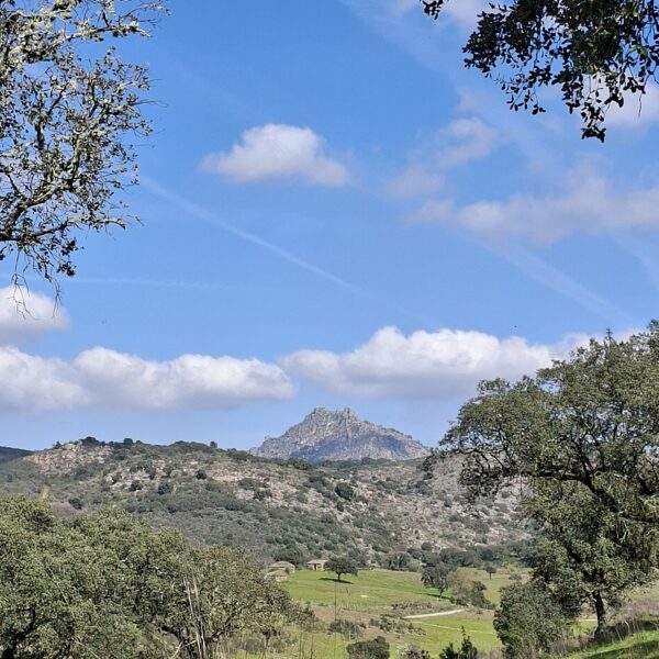 Hill behind the hill