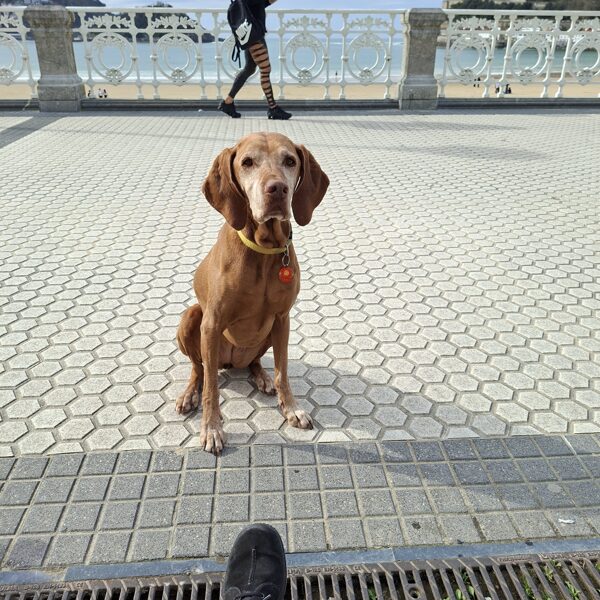 "Adsz a fagyidból?"