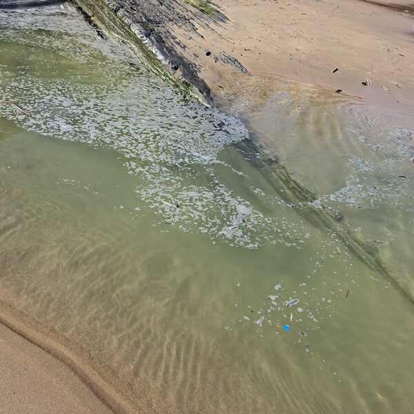 The “Mariana Trench”