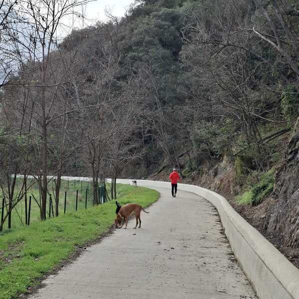 The walking path behind the hotel