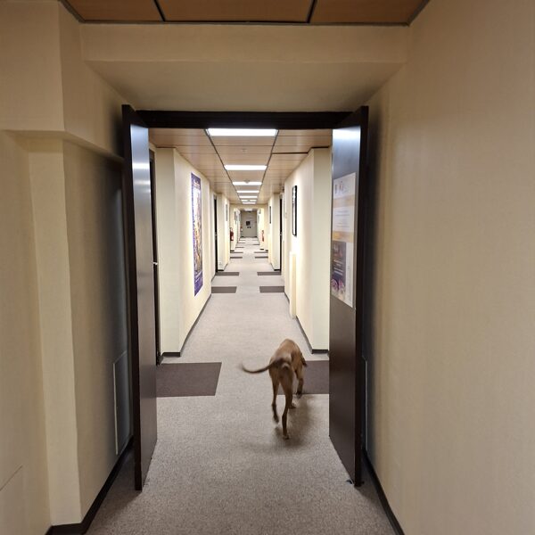 Our room is at the very end