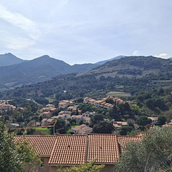 Collioure from the dome