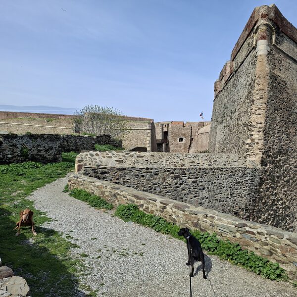 A detail of the castle with Gerbeaud and Panka