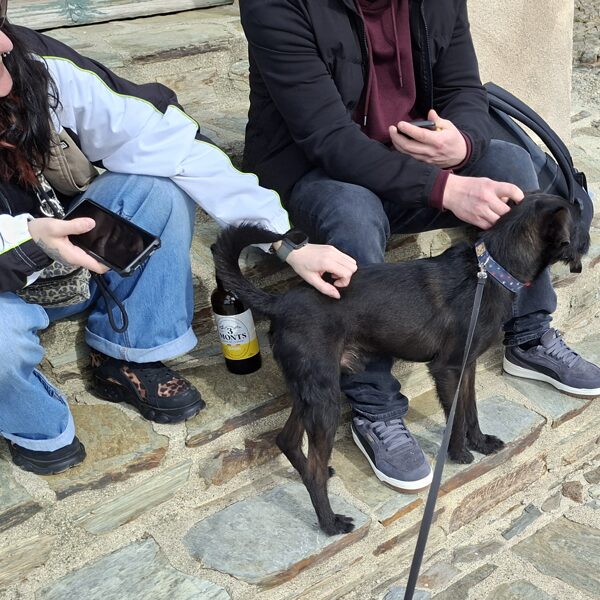 Gerbeaud sweeps everyone off their feet