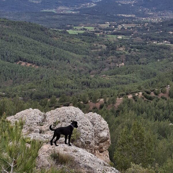 Zserbo a sziklamászó
