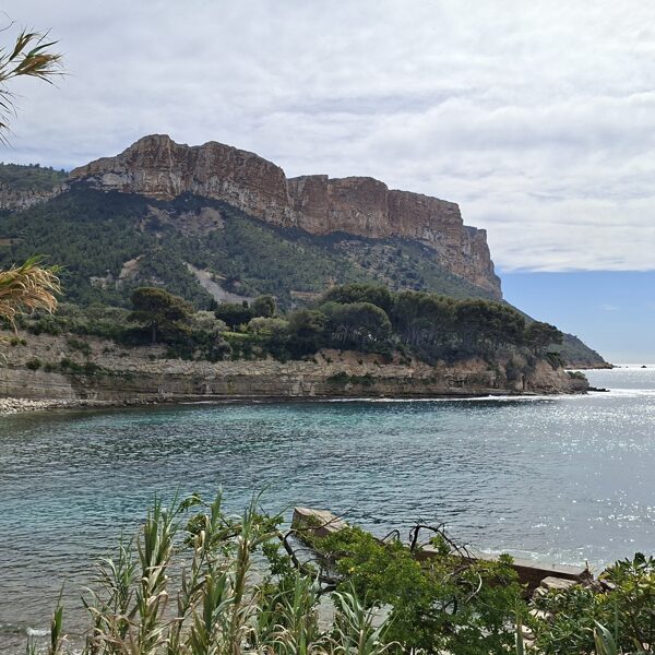 Cassis