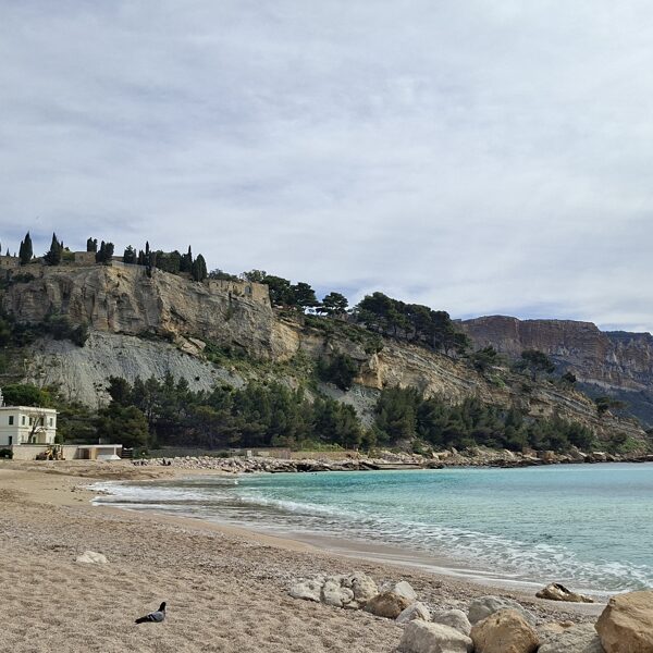 Cassis