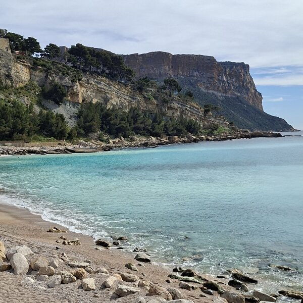 Cassis