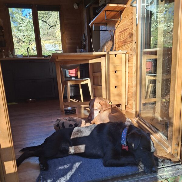 A nagy kirándulás után a megérdemelt pihenés