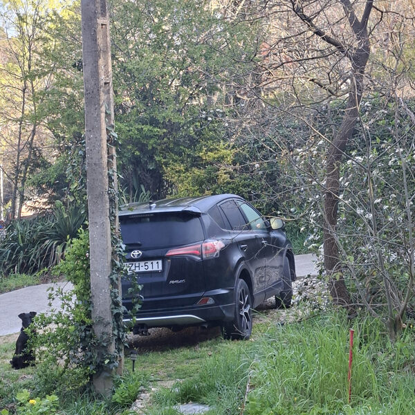 Zserbo végig így ült a kocsi mellett, amíg én pakoltam. Biztos, ami biztos.