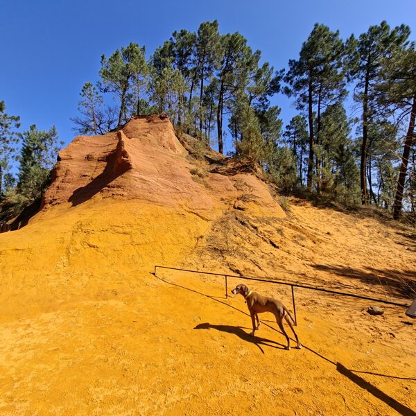 Az Okker-tanösvény