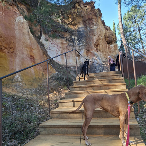 Az Okker-tanösvény