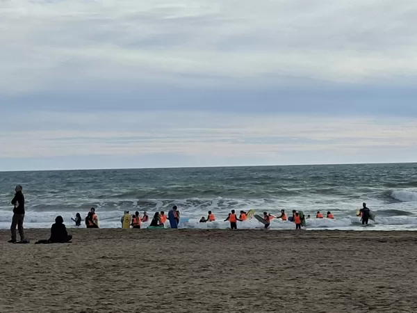 Children on surfboards