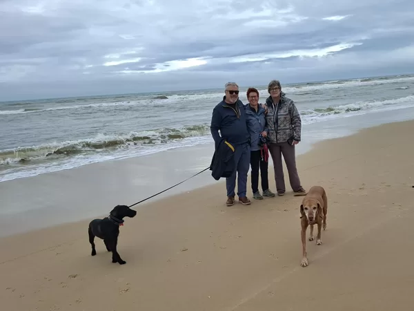D'Arcy, Zizi, Ingrid, Zserbo und Panka