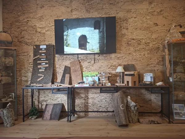 They screen the film for us. The wall behind the TV is made of cork, it insulates very well