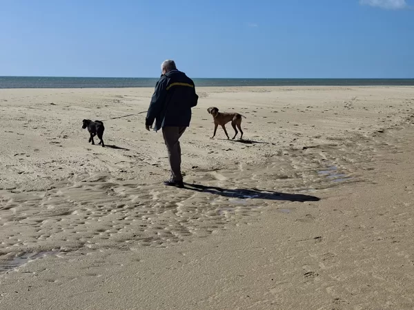 A walk on the beach