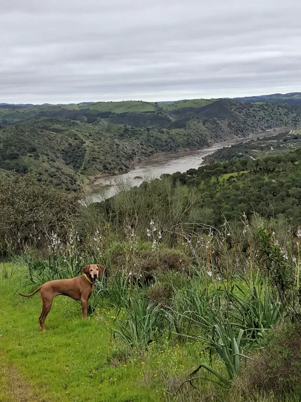Panka és a Guadiana-folyó