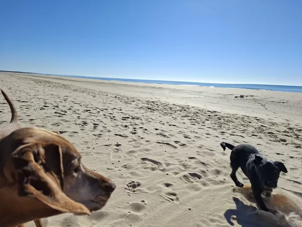 Búcsú Algarve-tól, utolsó sétánk 