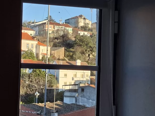 View from my bed