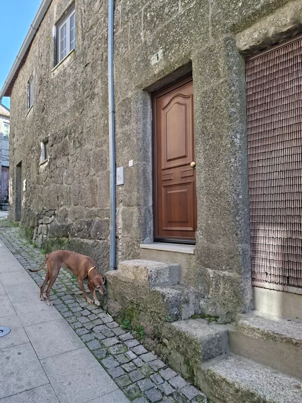 No staggering at this entrance