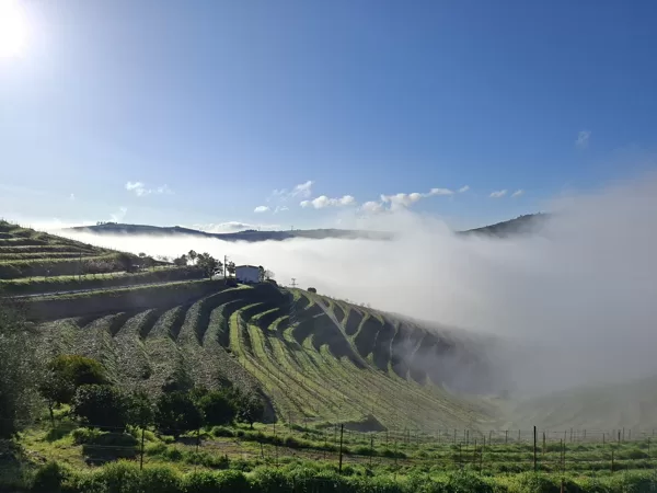 Douro Valley in fog