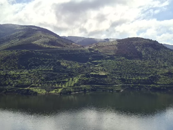 Inner Douro